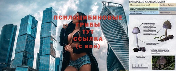 МДМА Касимов