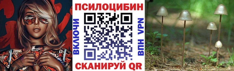 блэк спрут онион Кинель Псилоцибиновые грибы MAGIC MUSHROOMS